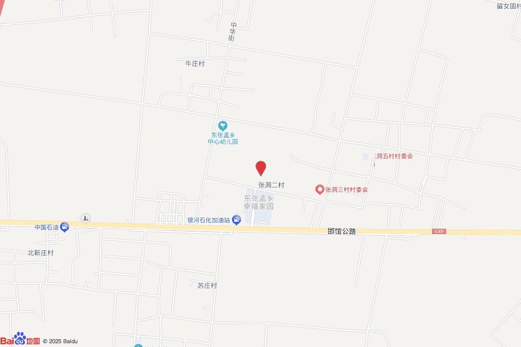 广平县东张孟镇张洞村，309国道北侧